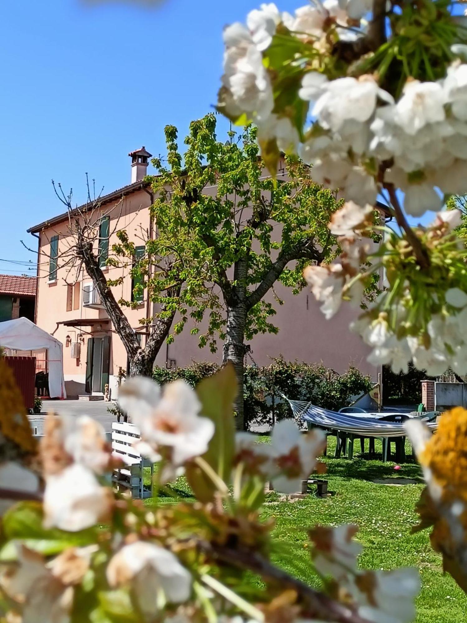 La Casa Della Nonna Bed & Breakfast Бризигела Екстериор снимка
